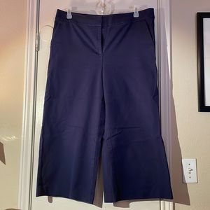 LOFT Wide Leg Pants. Size 16
